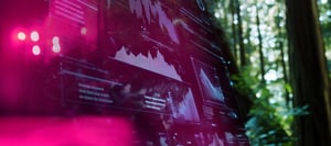 Pinja one of four HCL Domino Expert Partners worldwide