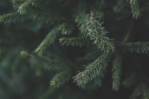 AdobeStock_344316063